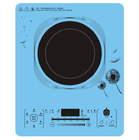 G32 Induction Cooker supplier