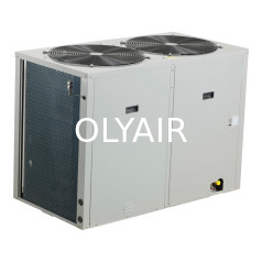 Olyair large Split top-discharge outdoor unit supplier